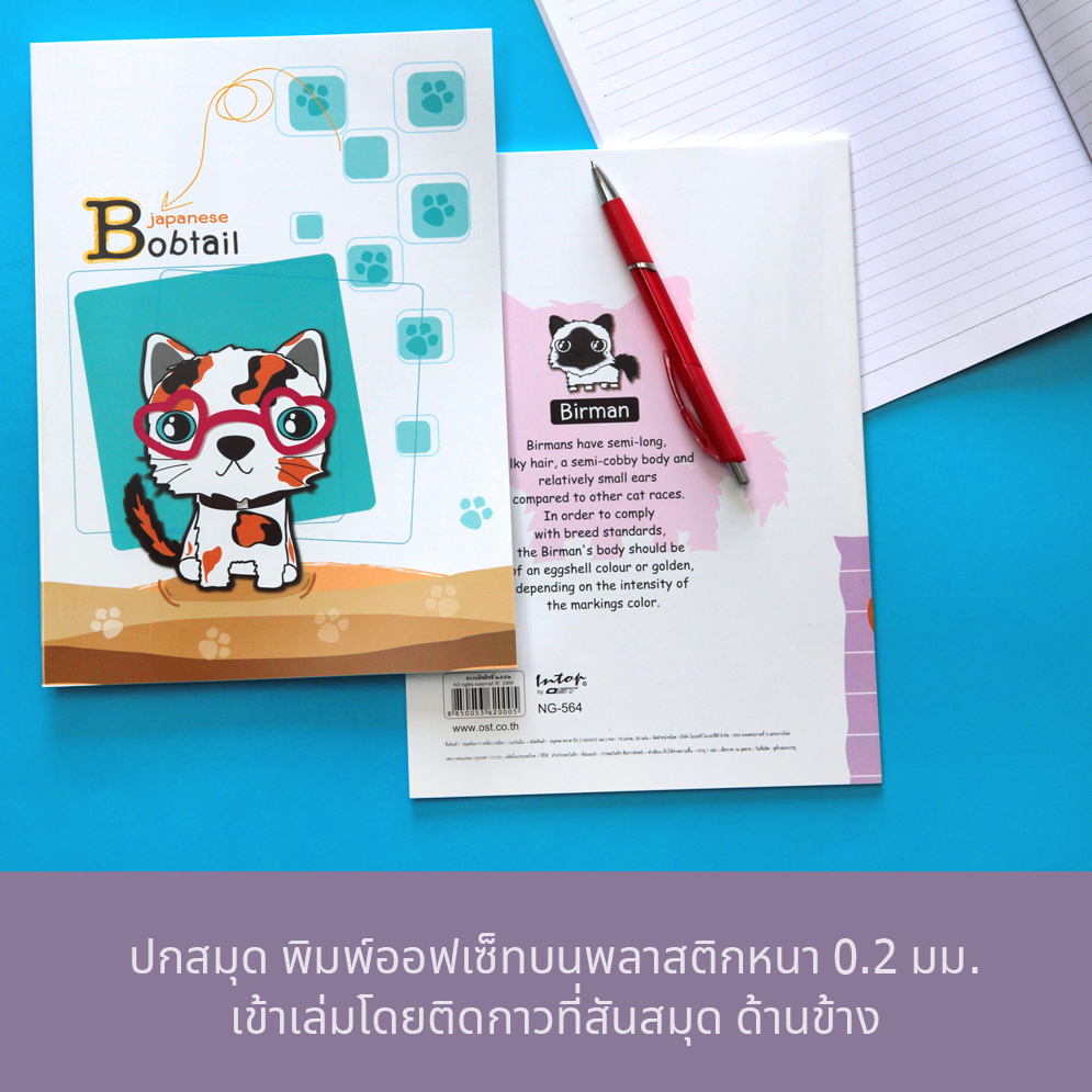 Writing Notebook B5 with PP Covers Cat