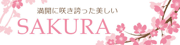 Sakura Oval Bento - เบนโตะญี่ปุ่นลายดอกซากุระ 390 ml.