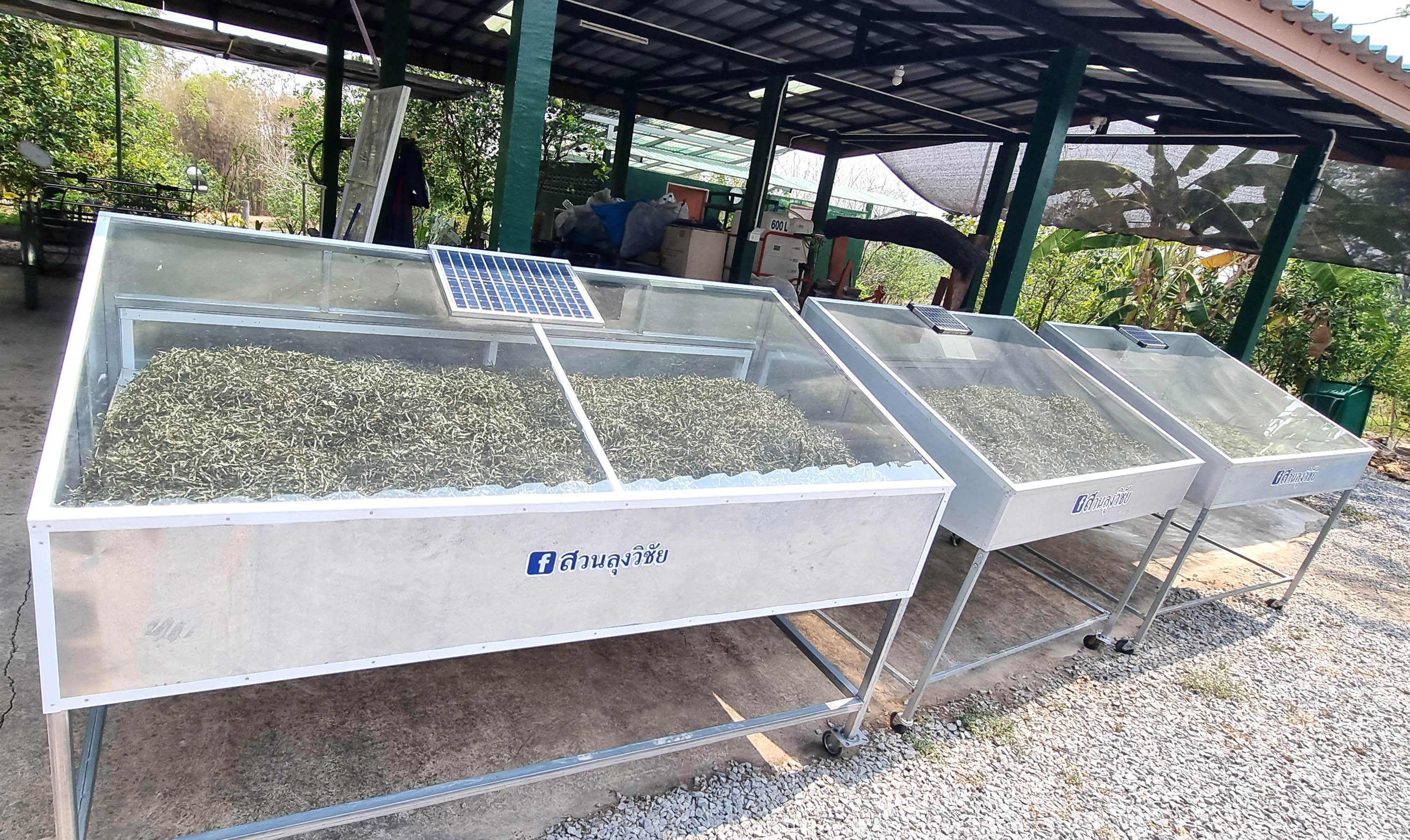 ใบย่านางแห้ง ใบย่านางตากแห้งหั่นฝอย ขนาด 120 กรัม