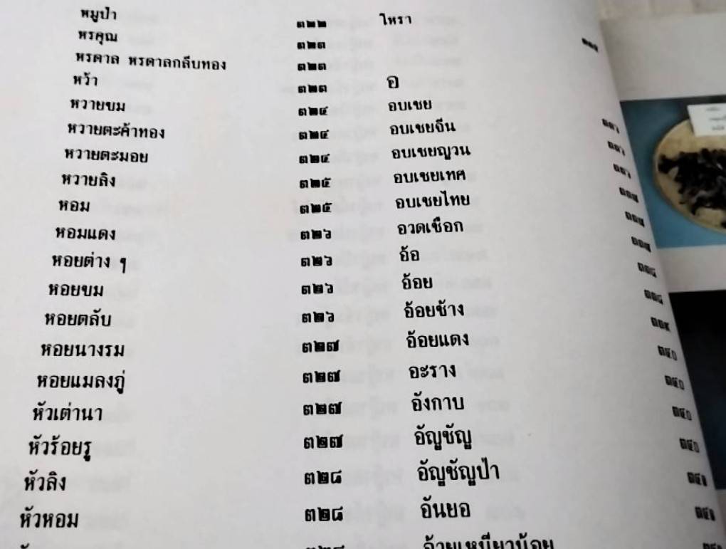 สมุนไพร ร้าน เจ้ากรมเป๋อ