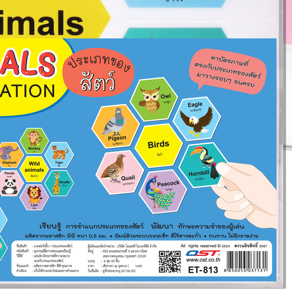 สคบ.เกมต่อรังผึ้ง ชุดประเภทของสัตว์ Animals Classification