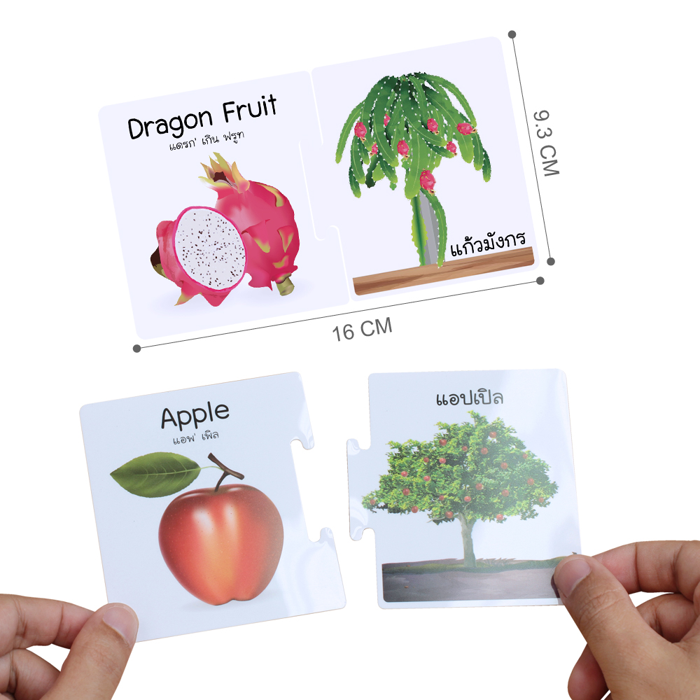 เกมต่อภาพจับคู่ บัตรคำ ชุดผลไม้ ต้นและผลผลิต ET-558