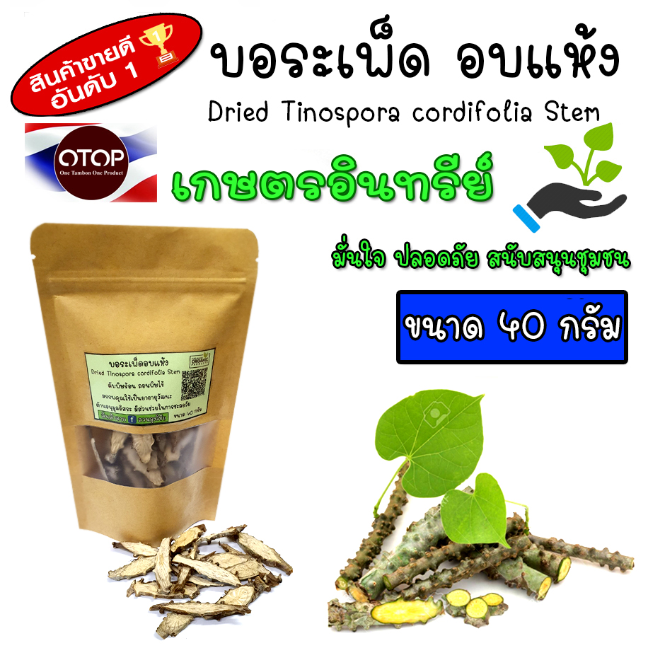 บอระเพ็ดตากแห้ง บอระเพ็ดแห้ง บอระเพ็ดอบแห้ง ปลูกแบบอินทรีย์แท้