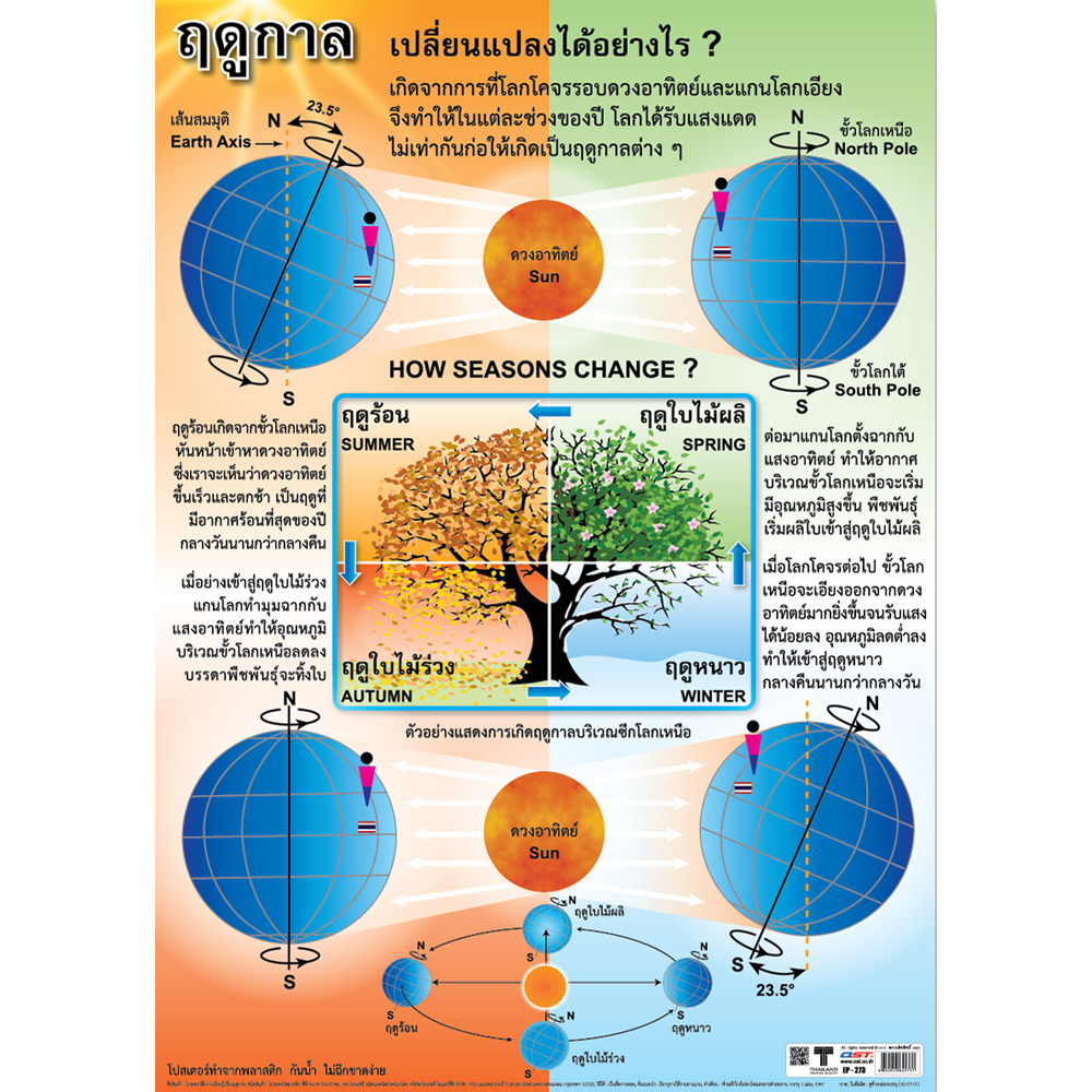 Changing Seasons Educational Posters No.273