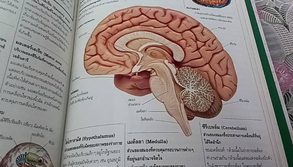 พจนานุกรมธรรมชาติวิทยา