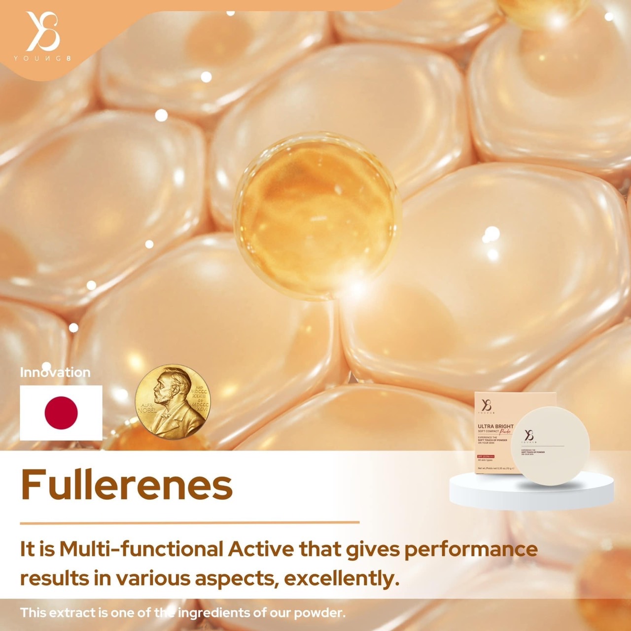 Fullerenes 🇯🇵