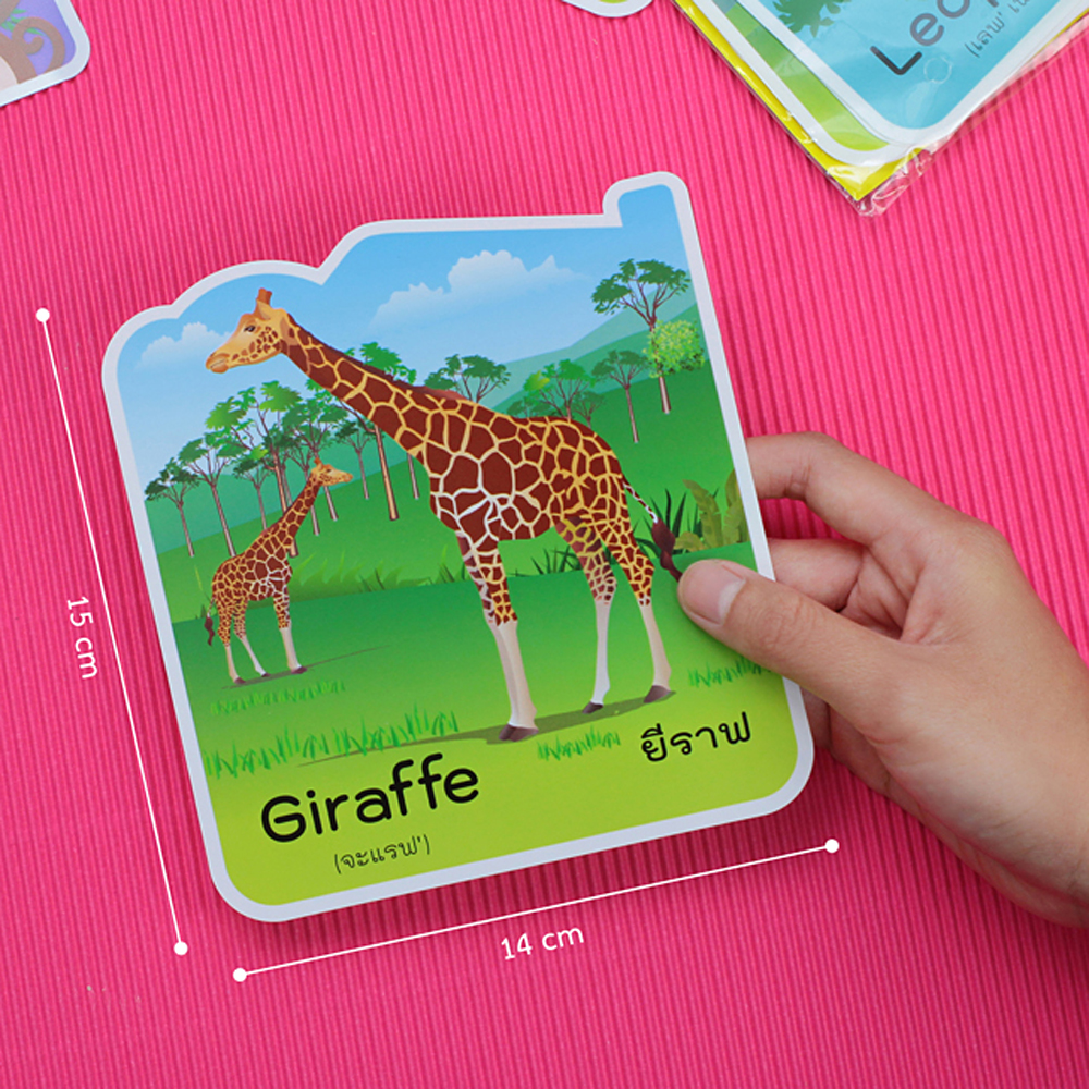 ขนาดแผ่นบัตรคำ จัดบอร์ด ชุดสัตว์ Animals 15ชิ้น ET-771 สัตว์บก 
