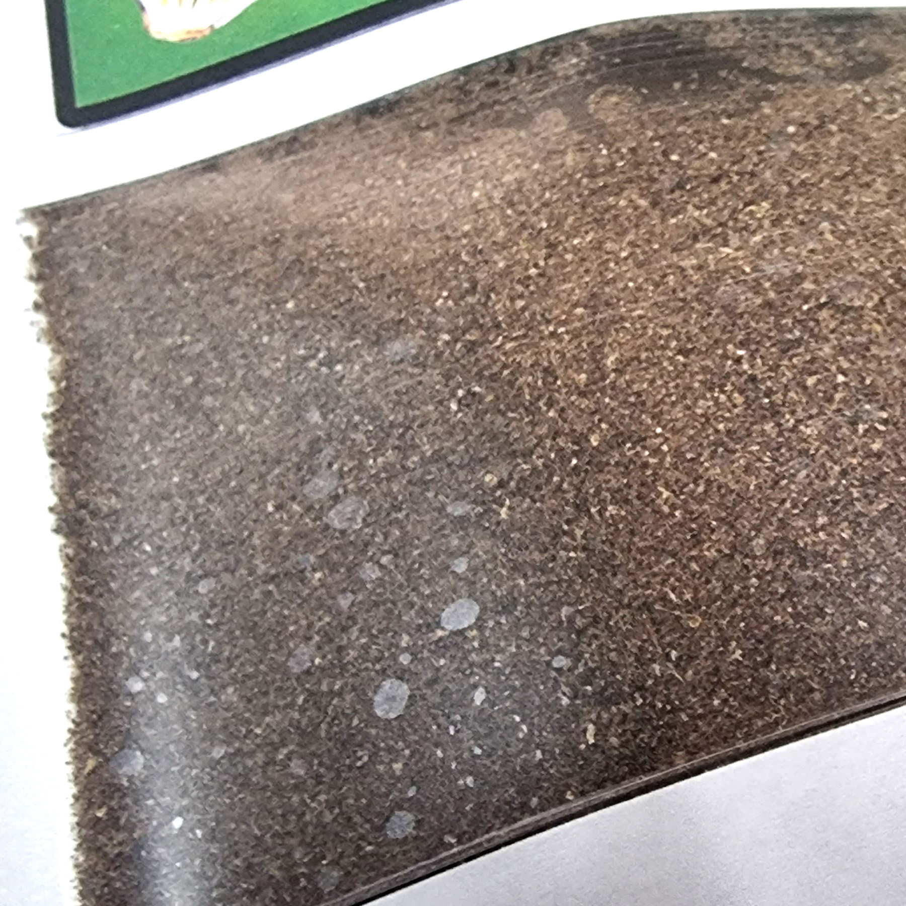 ผงหัวปลี หัวปลีบดผง ผงหัวปลี ออร์แกนิค100 % ไม่ผสมไร้สารเคมี