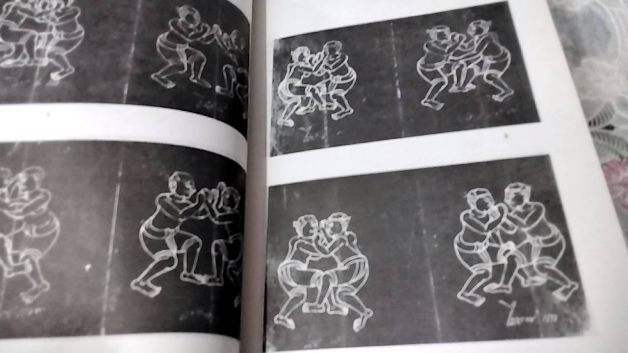 ตำรา พาหุยุทธ มวยไทยยอดศิลปการต่อสู้