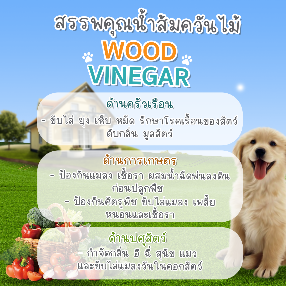 สเปรย์น้ำส้มควันไม้ สำหรับสัตว์เลี้ยง ป้องกัน เห็บ หมัด และช่วยลดกลิ่น ลดอาการคันผิวหนัง ลดขนร่วง ไล่แมลงรบกวน ขนาด500ml