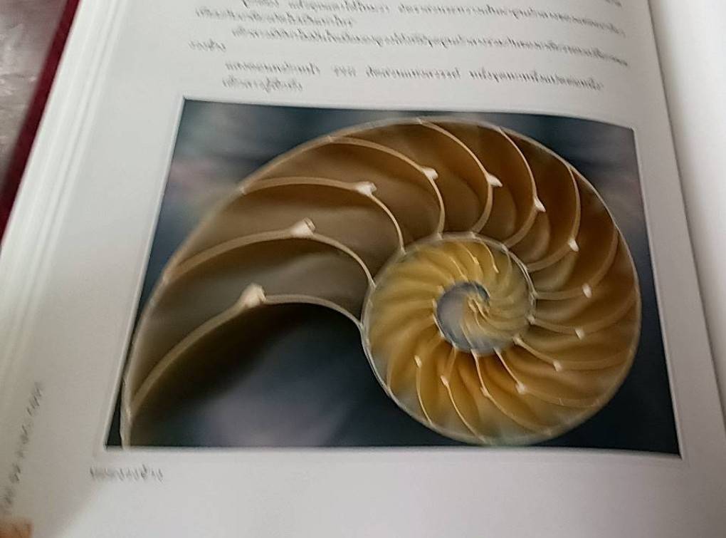 รหัสลับ ดาวินชี ฉบับพิเศษ พร้อมภาพประกอบ