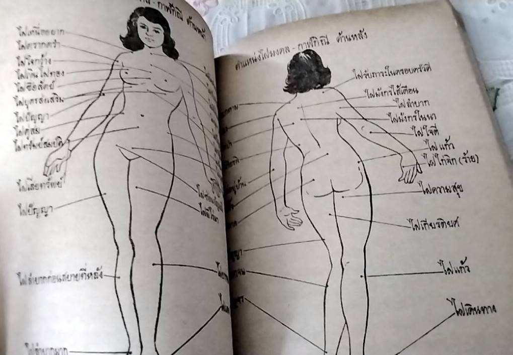 ตำราโบราณ พยากรณ์ 12 ราศี ( 12 เล่ม )