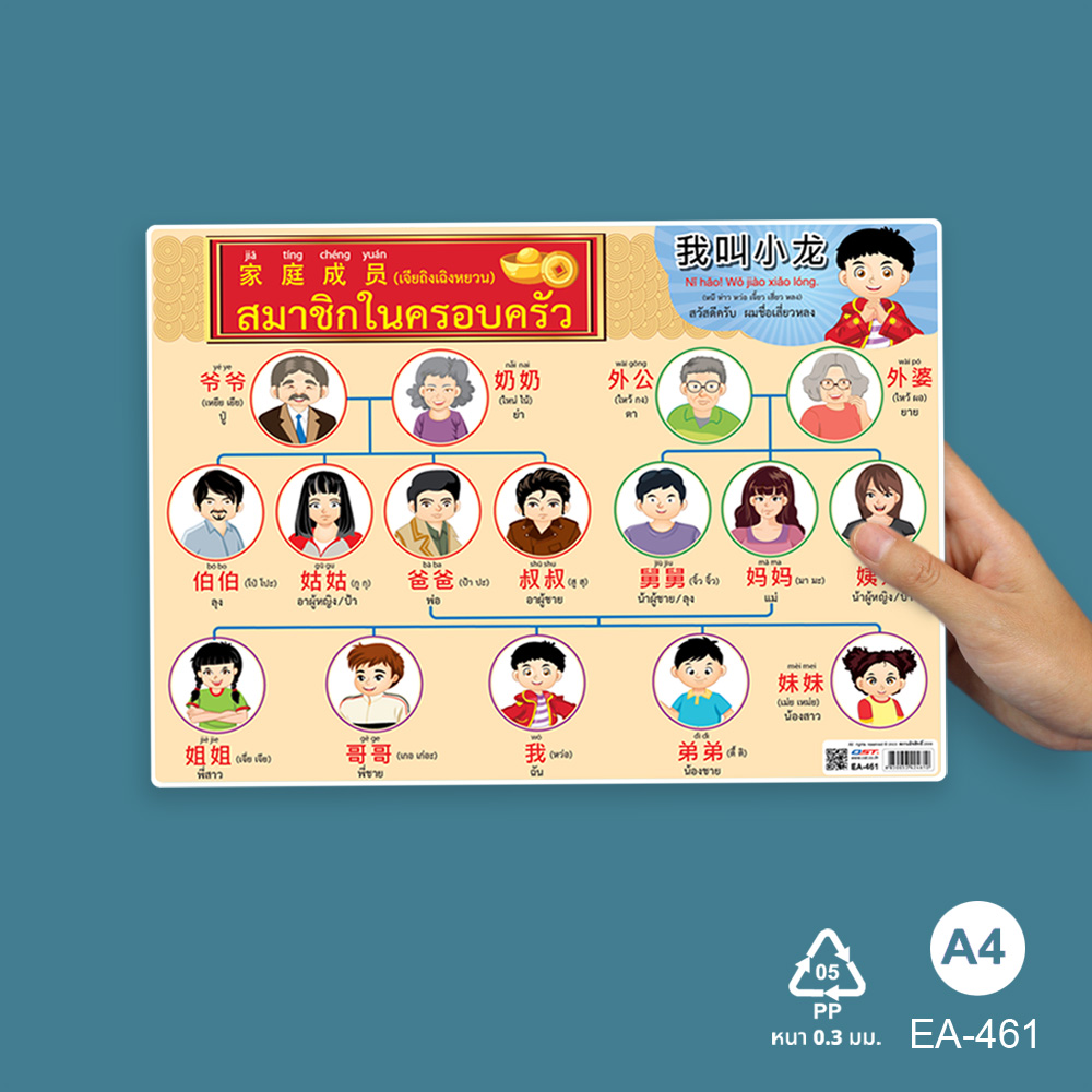 โปสเตอร์ความรู้ คำศัพท์ภาษาไทยจีนอังกฤษ ขนาด A4 EA-461 ชุดสมาชิกในครอบครัว