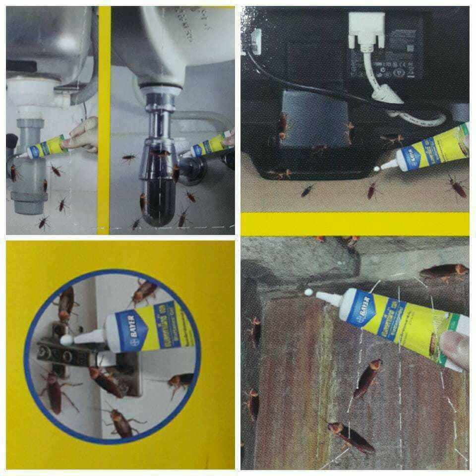 ไบเออร์แบลททาเน็กซ์เจลเหยื่อกำจัดแมลงสาบ 12กรัม