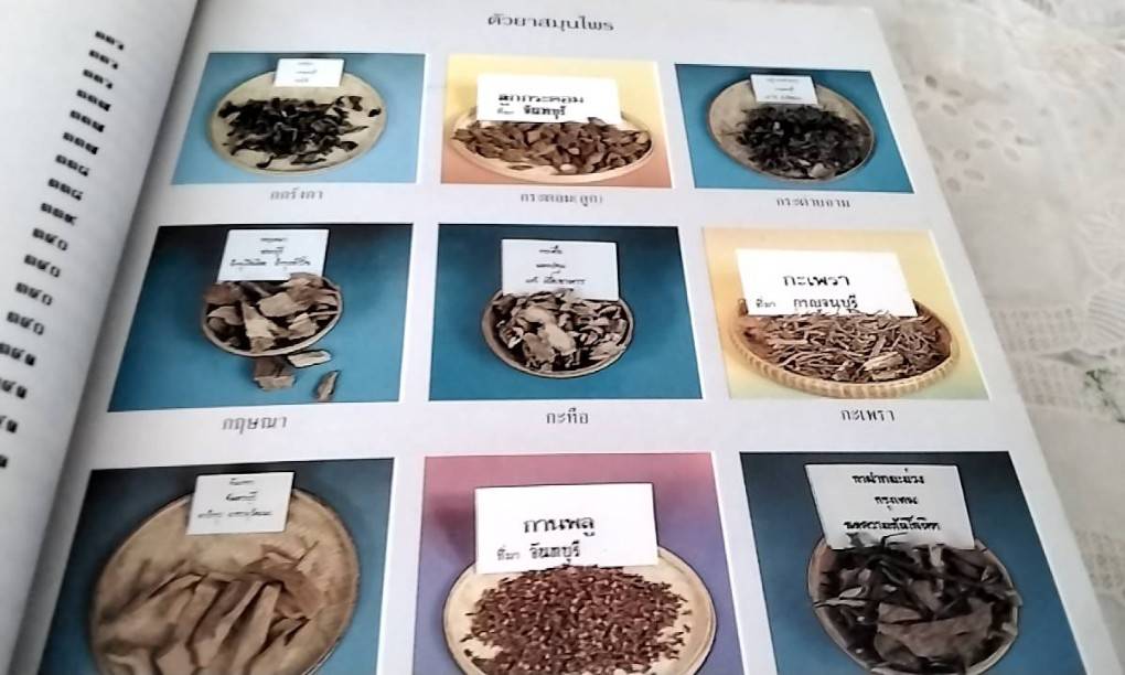 สมุนไพร ร้าน เจ้ากรมเป๋อ