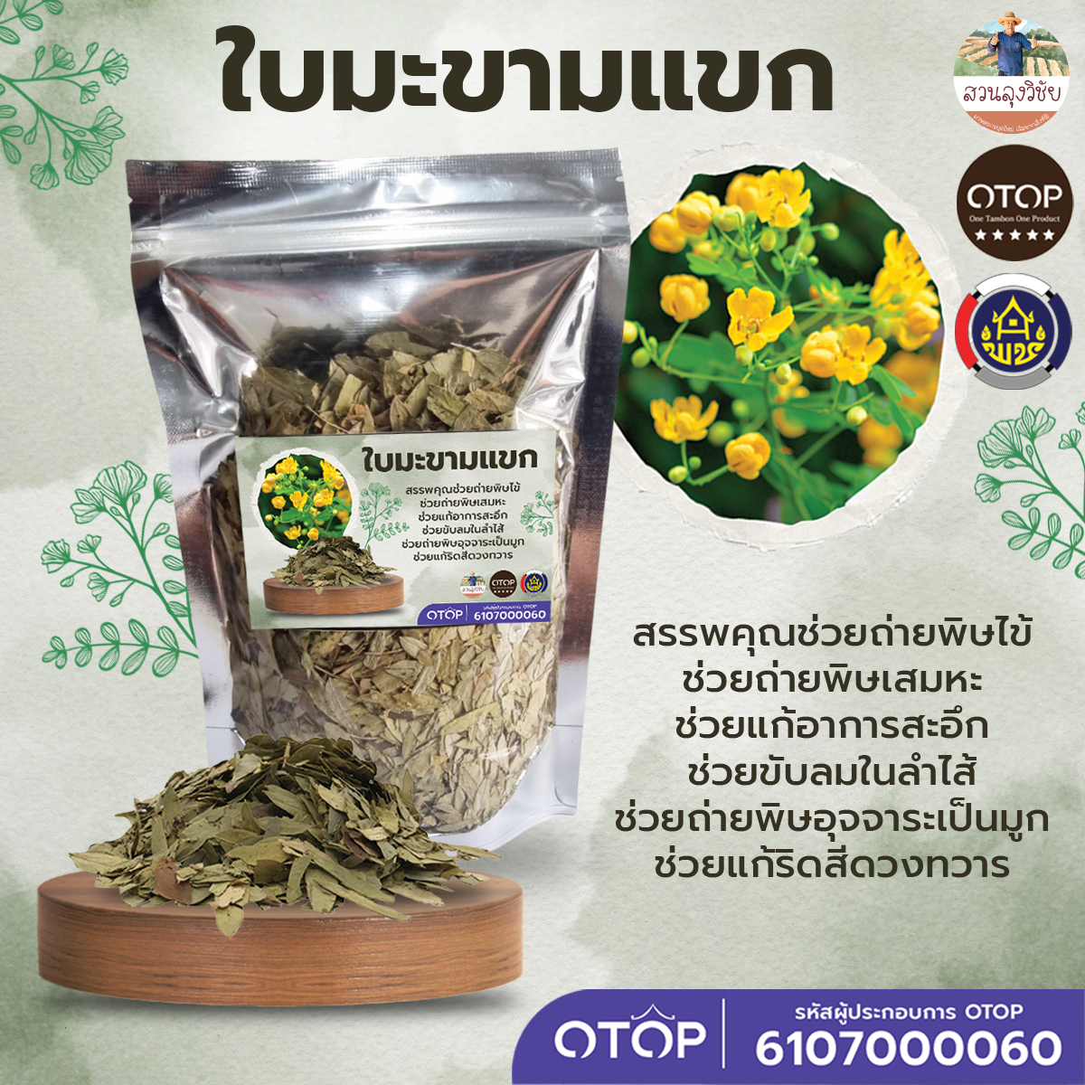 ใบมะขามแขก Senna Leaf สมุนไพร แก้ท้องผูก ช่วยระบาย ปลอดภัย