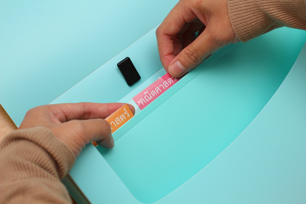 Pocket Expanding Document Carrying Bag A4 EX-046