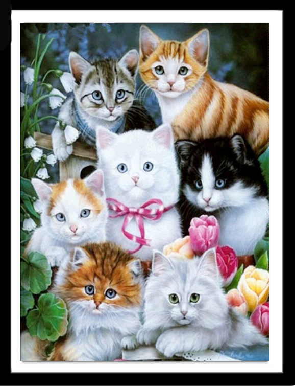 cat-2006 *สินค้าหมด* ชุดภาพติดคริสตัลกลม ลายรวมแมวน้อย (งานติดเต็มภาพ) ขนาด 40*50 ซม.ผ้าแคนวาส ลงกาวติดเต็มลาย+คริสตัลกลม 35 สี+อุปกรณ์ครบชุด