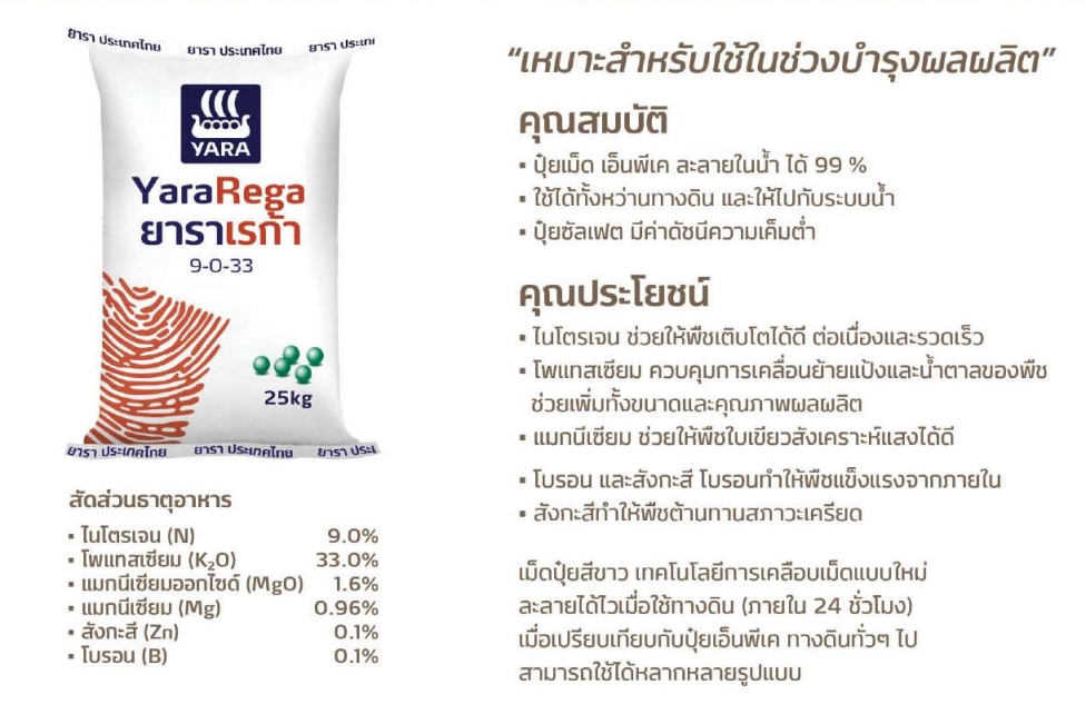 ปุ๋ยเม็ดระบบน้ำ/ทางดิน ยาราเรก้า สุตรบำรุงผลผลิต YaraRega 9-0-33 (+Mg+โบรอน&สังกะสี) บรรจุ 25 กิโลกรัม