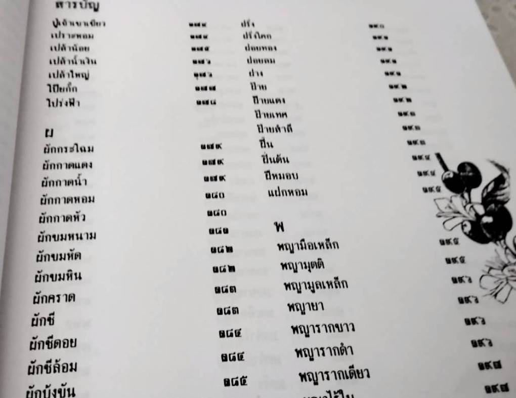 สมุนไพร ร้าน เจ้ากรมเป๋อ