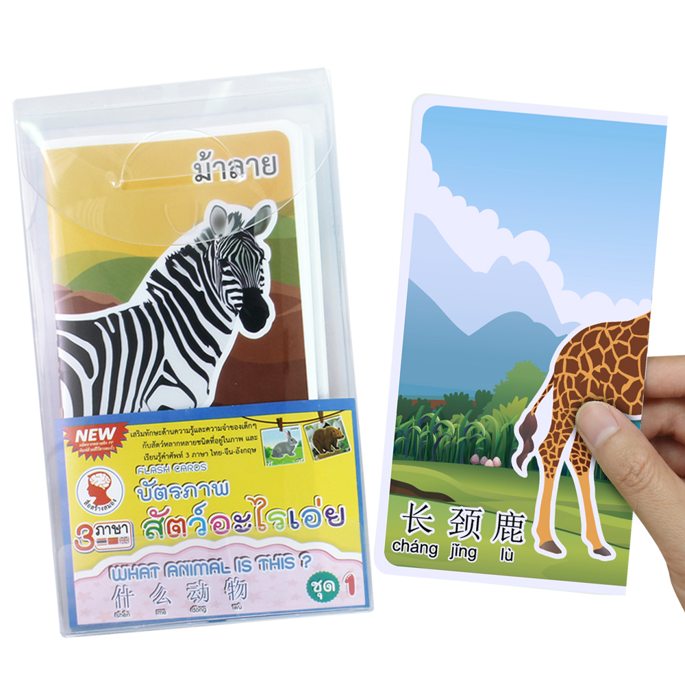 Animals in Thai-English-Mandarin Flashcards "What Animal is this?" ET-328