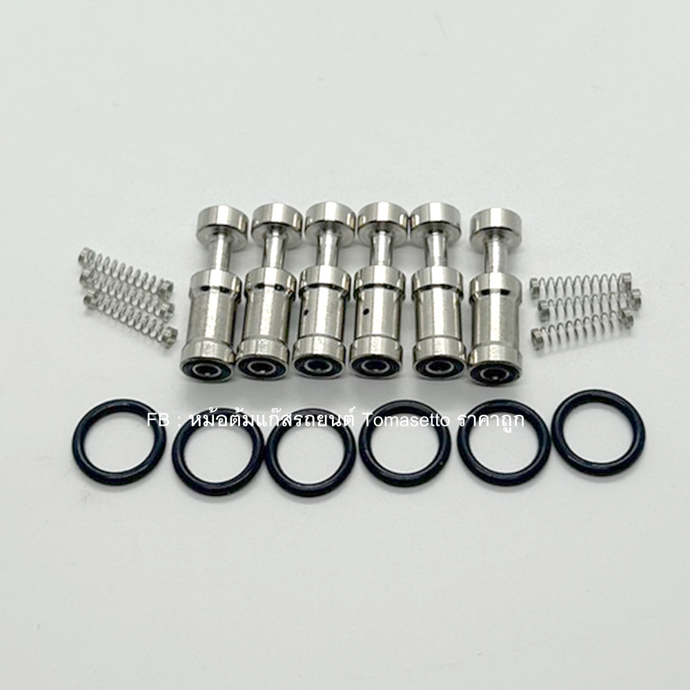 ชุดซ่อมราง Valtek 3 โอมห์ 6 สูบ(Energy Reform / Versus รางแดง)