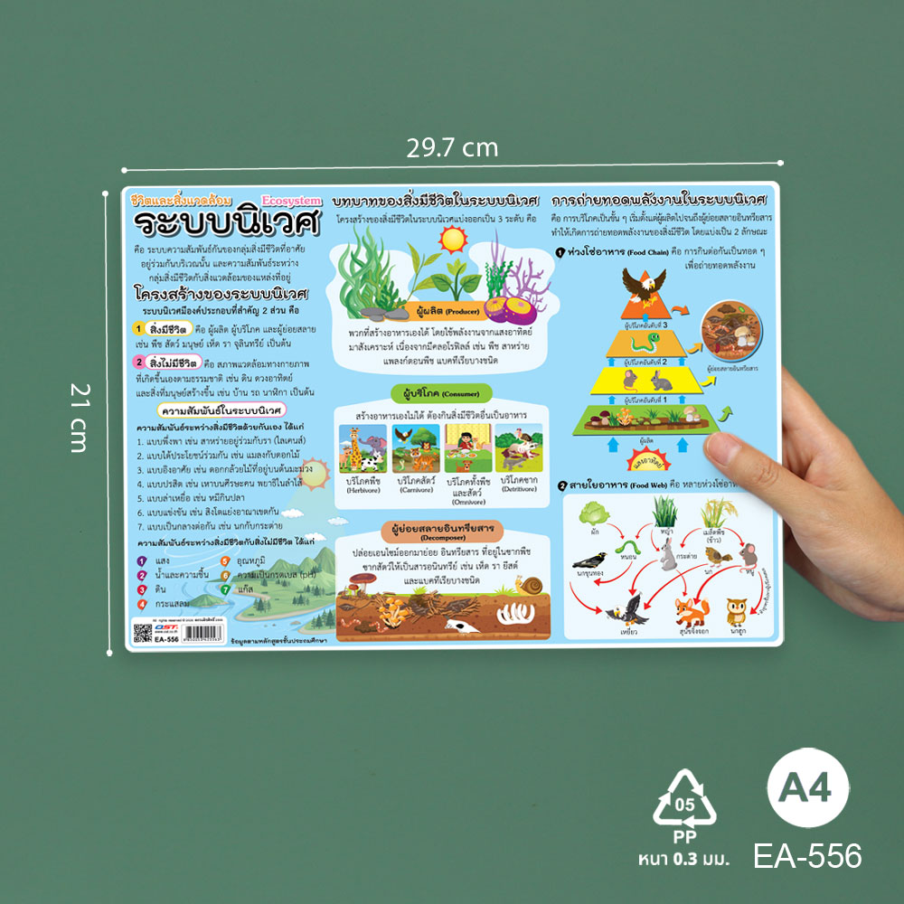 โปสเตอร์ความรู้ ชุดวิทยาศาสตร์ ขนาดA4 EA-556 ระบบนิเวศ Ecosystem