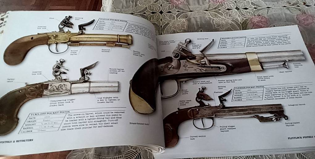 Gun A Visual History