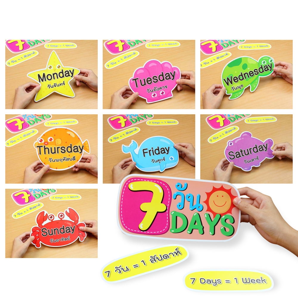 ชุดจัดบอร์ด 7วัน 7 Days ET-741 ลายสัตว์ทะเล