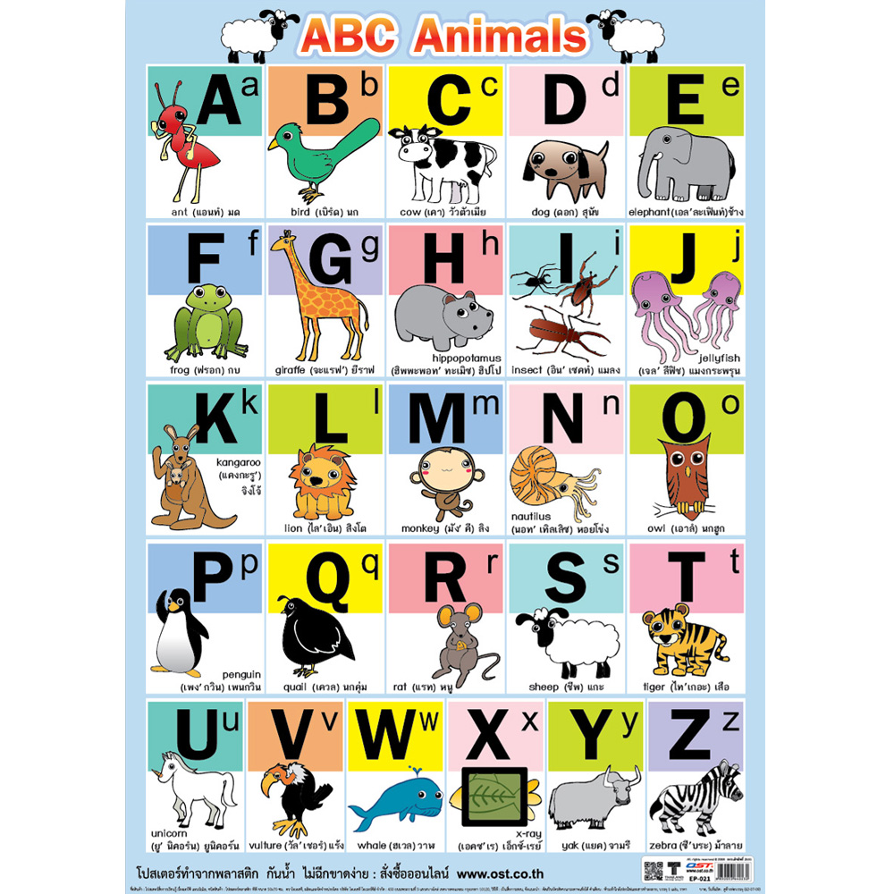 English Alphabets ABC Educational Posters No.021