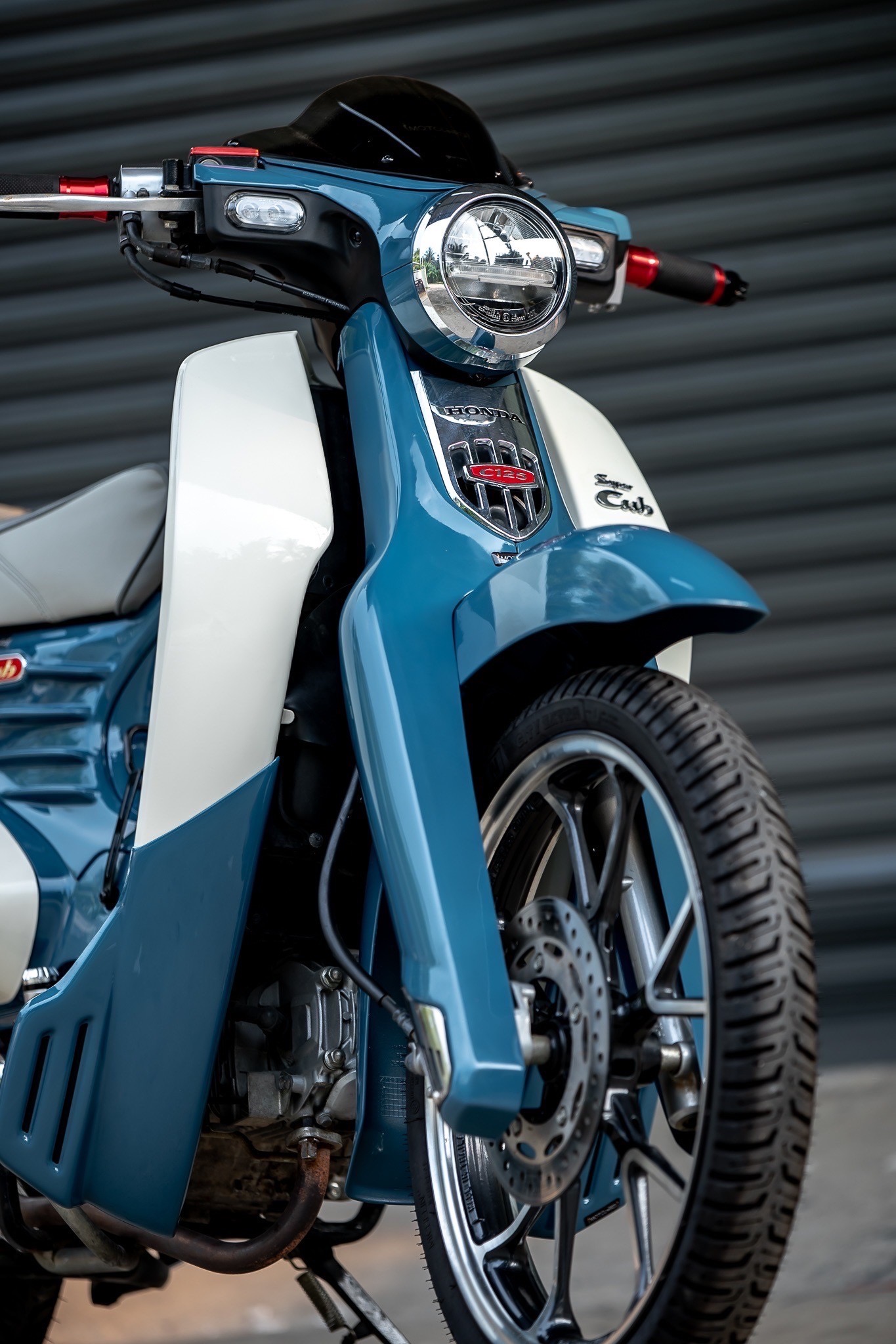 HONDA SuperCUB C125-C110 MotolordD