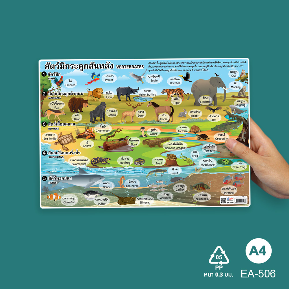 โปสเตอร์ความรู้ ชุดอาณาจักรสัตว์ ขนาดA4 EA-506 สัตว์มีกระดูกสันหลัง
