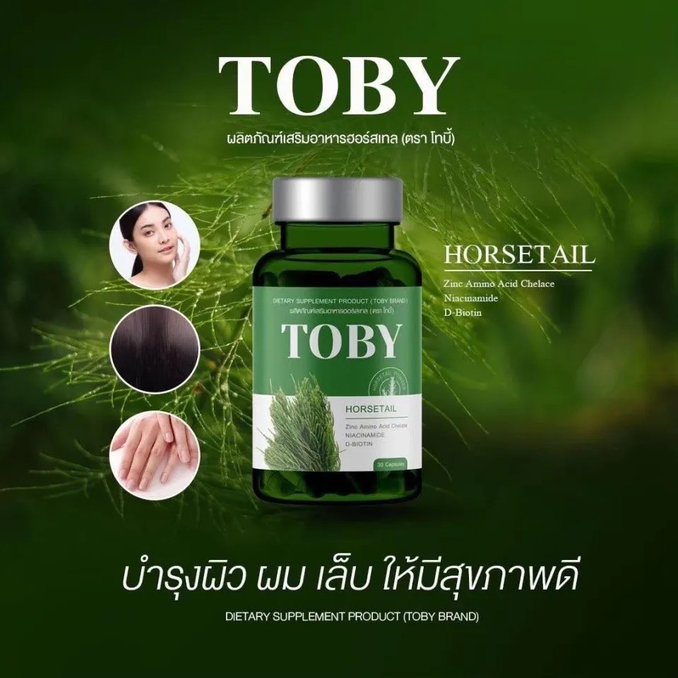 โทบี้ หางม้า Toby Horsetail