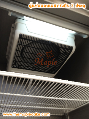 ตู้แช่เย็นสแตนเลส ทรงยืน 2 ประตู