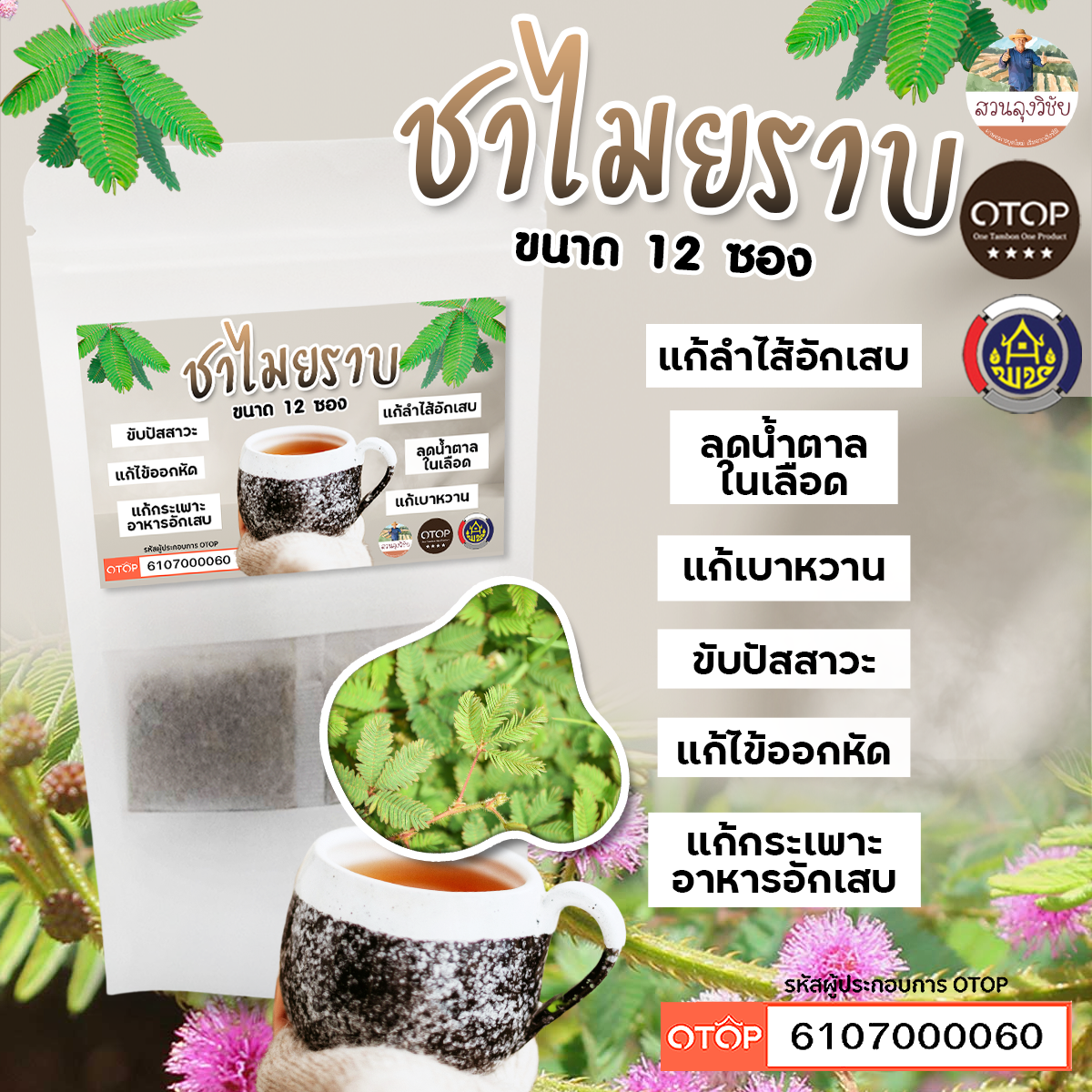 ชาสมุนไพรอบแห้ง ไมยราบ ชาไมยราบ ขนาด 12 ซอง จัดส่งไว