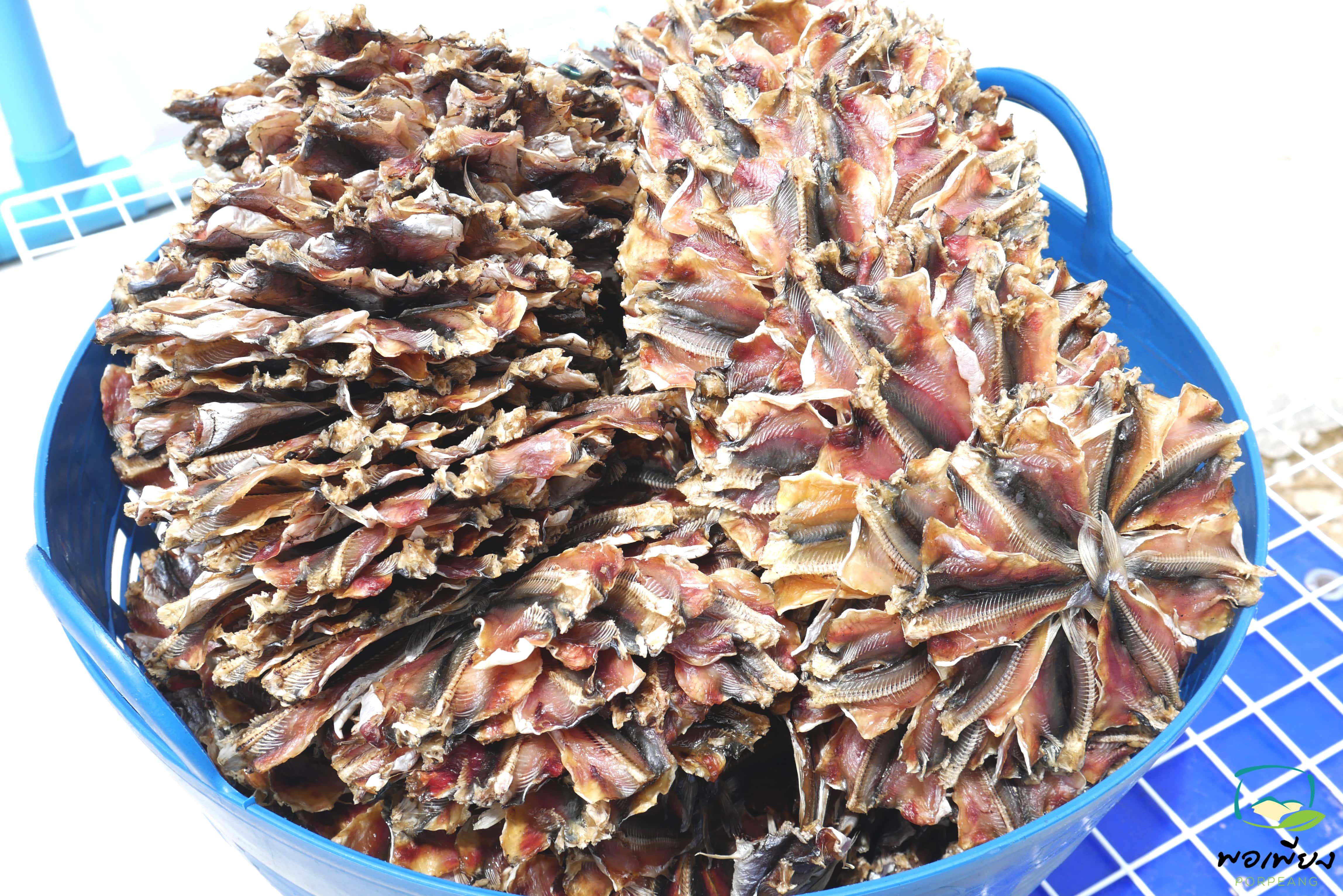 ปลาหัวโม่งตากแห้ง แพค 10วง(ปลีก)