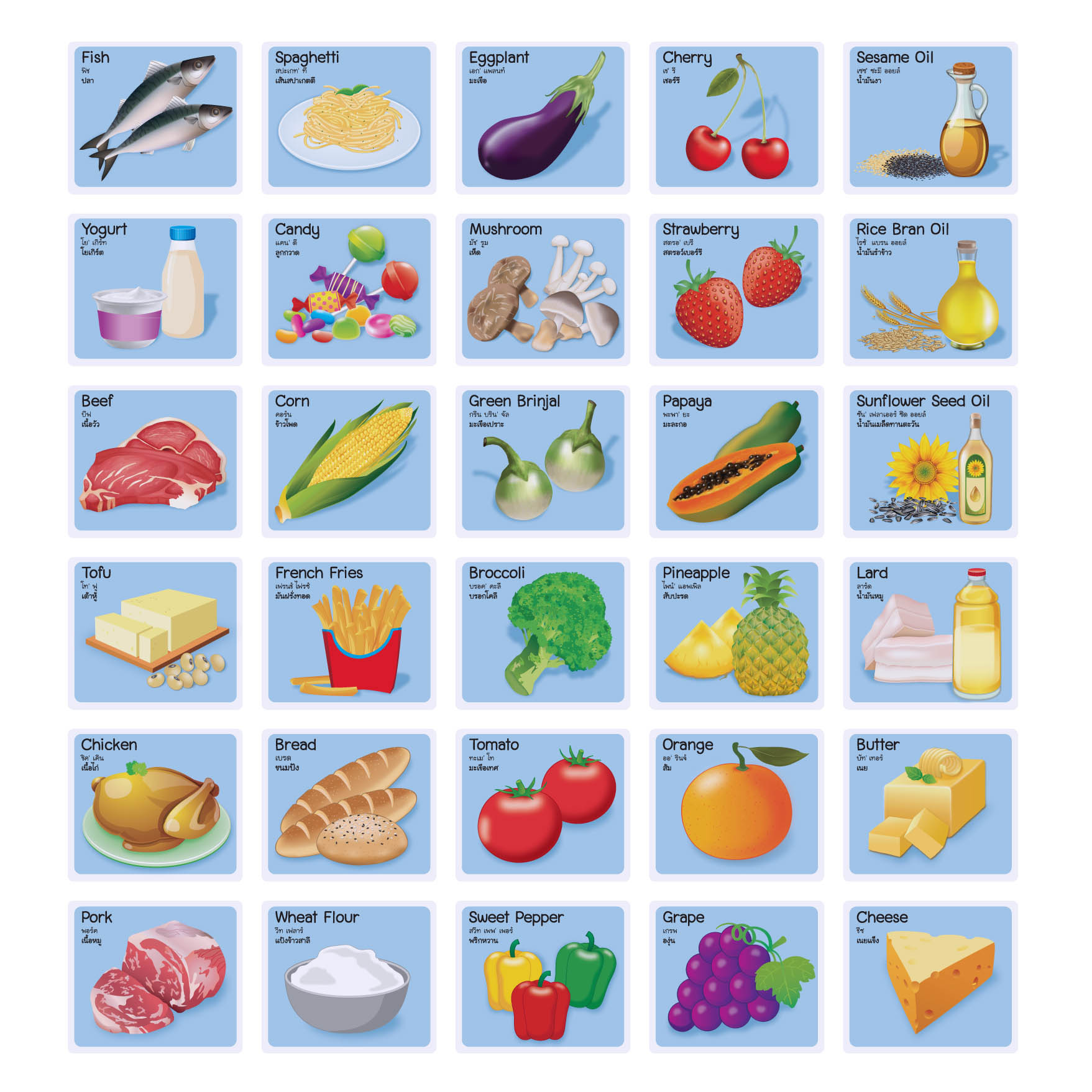 ชุดบัตรคำ Flashcards อาหารหลัก5หมู่ ET-599