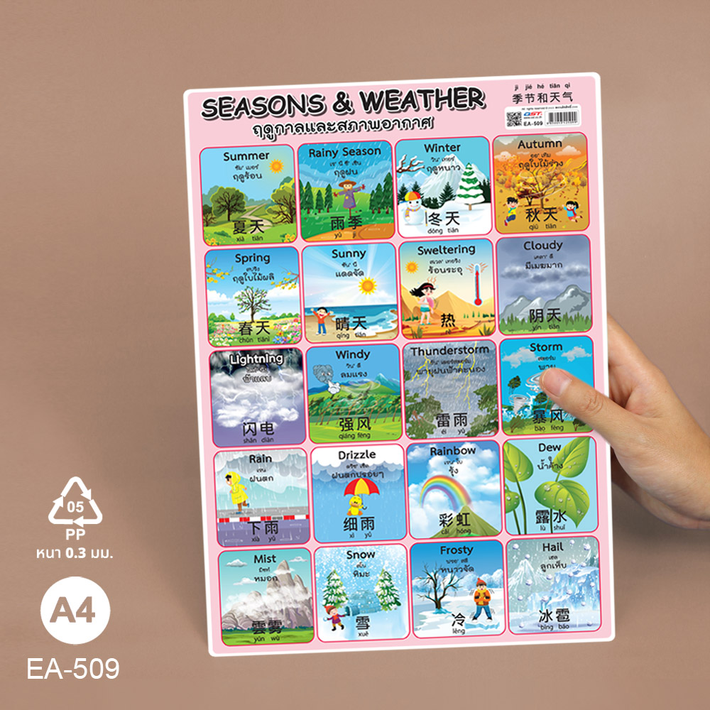 โปสเตอร์ความรู้ คำศัพท์ภาษาไทยจีนอังกฤษ ขนาด A4 EA-509 ฤดูกาลและสภาพอากาศ