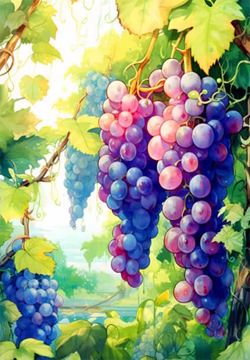 fruit-1110 *สินค้าหมด* ชุดปักครอสติช ลายช่อองุ่น (ปักเต็มผืนผ้า ไม่มีเดินเส้น ผ้า9CTพิมพ์ลาย มีประกาย ปัก 4 เส้นเล็ก) ขนาด 60*80 ซม.ผ้าครอสติช 9CTพิมพ์ลายปักบนผ้า ไหมคอตตอน 42 สี ผังลาย เข็ม