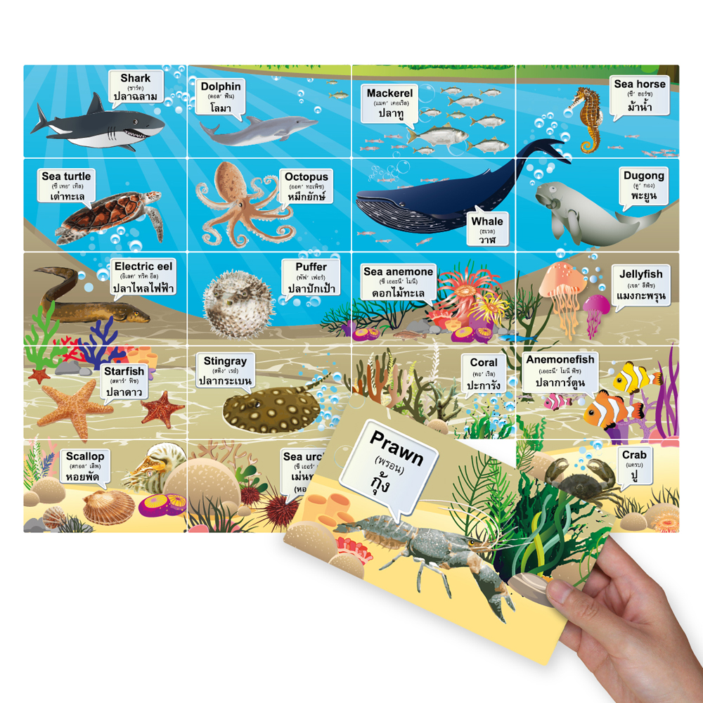 Pictures Puzzle Game ET-304 Aquatic Animals
