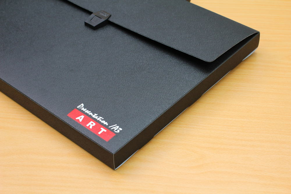 Plastic Document Carrying Bag