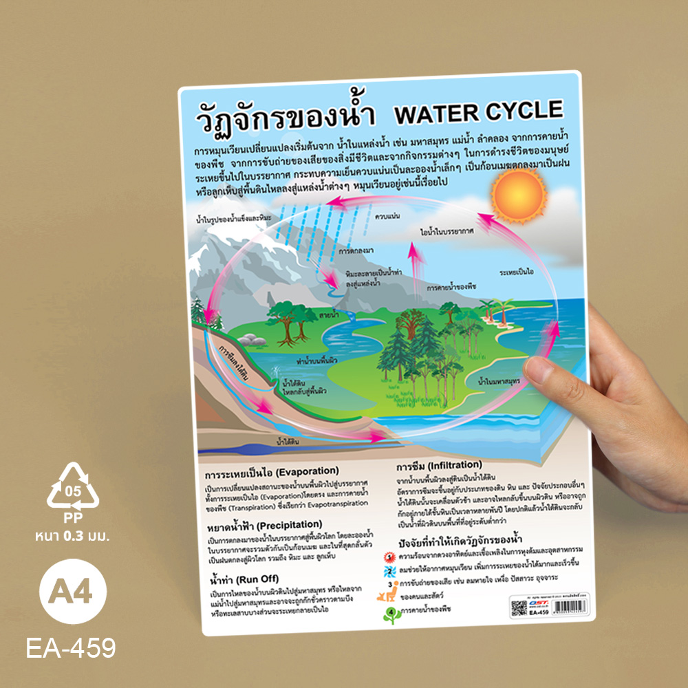 โปสเตอร์ความรู้ ป้ายนิเทศA4 วัฎจักรของน้ำ Water Cycle EA-459