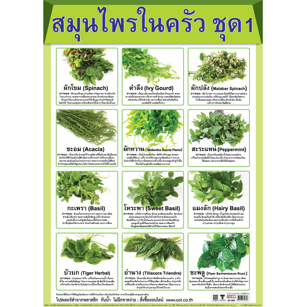 Kitchen Herbs Educational Posters