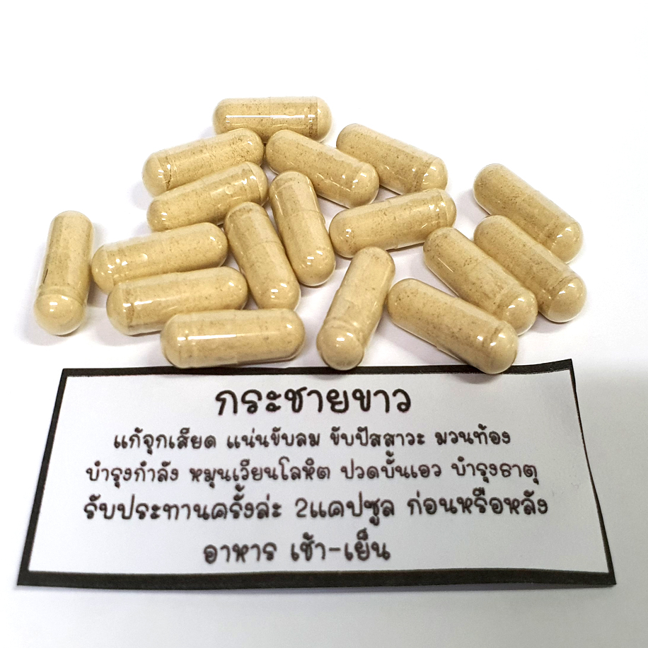 กระชายบด 100% Finger Root Extract Capsule ชนิดแคปซูล 100 แคบซูล