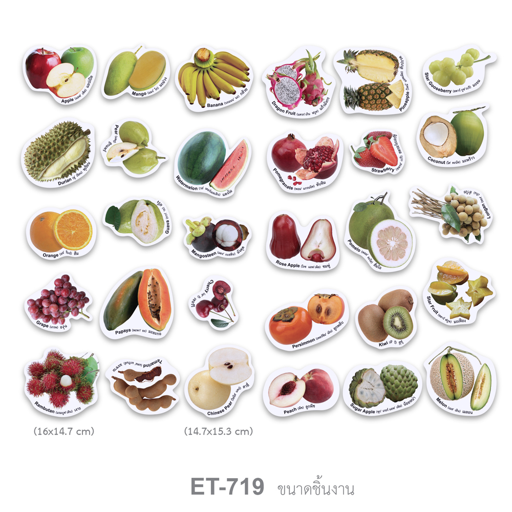 ขนาดแผ่นบัตรคำ ชุดจัดบอร์ด สื่อการเรียนการสอนชุดผลไม้ Fruits ET-719