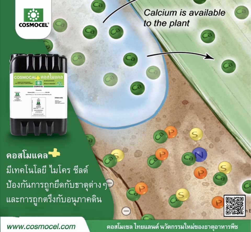 Cosmocal คอสโมแคล แคลเซียม แอล-อะมิโนคีเลต 20%CaO (Cosmocel) บรรจุ 1000 ml