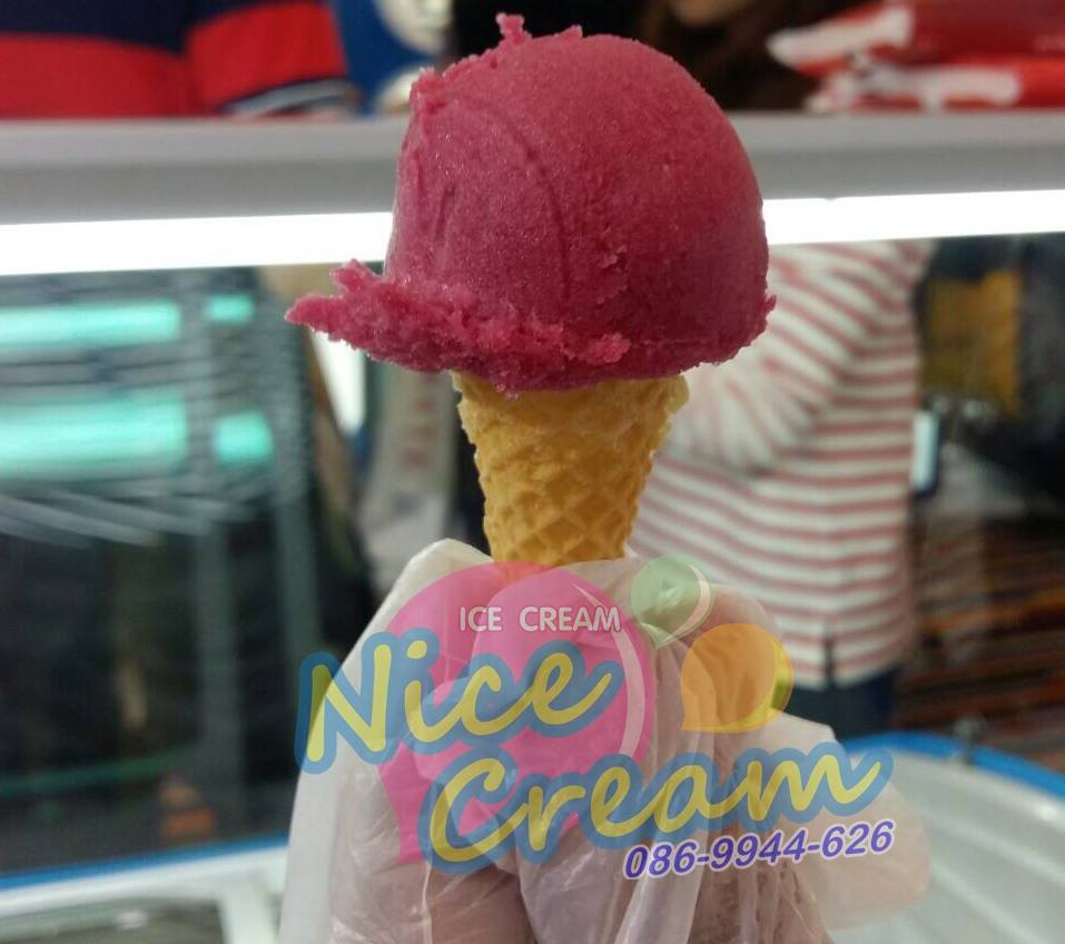 ออกบูธแจกไอศครีมโคนจิ๋ว งานประชุมวิชาการแพทย์ @ THE ZIGN HOTEL PATTAYA