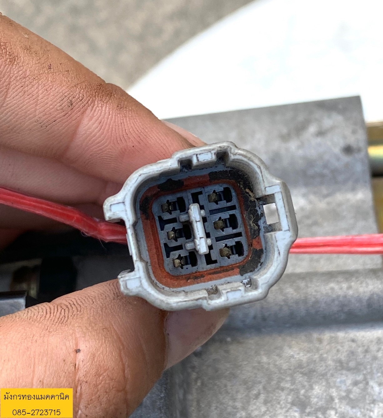 มอเตอร์ induction moter