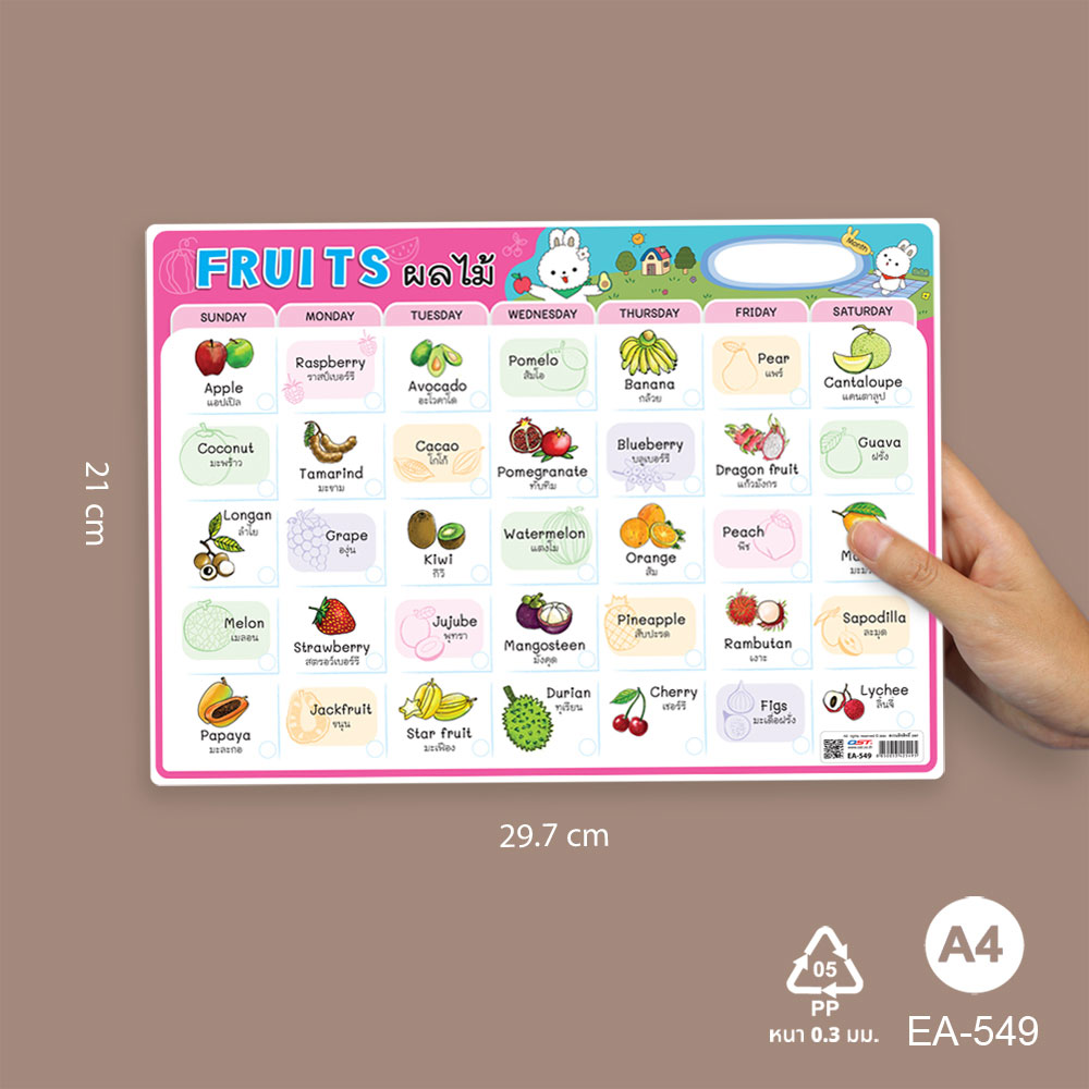 โปสเตอร์พลาสติก ขนาดA4 ชุดท่องคำศัพท์ รายวัน EA-549 ผลไม้ Fruits