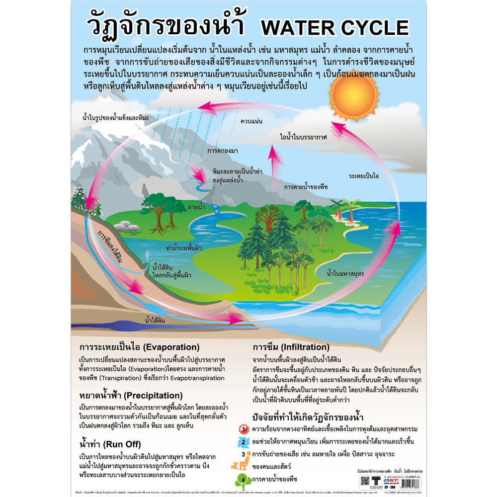 Water Cycle Educational Posters No.188